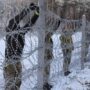 Ukraine is negotiating with Poland to close the border with Belarus