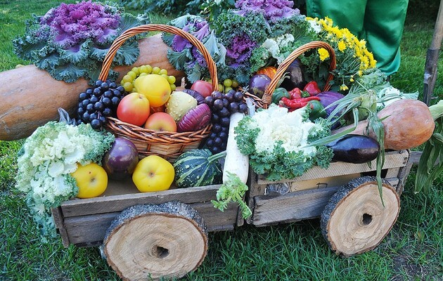 Lack of food due to the war: Ukrainians are urged to start growing food on available land