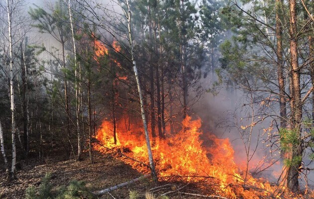 More than 10,000 hectares of forest are burning in the Chernobyl Exclusion Zone