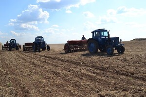 Ukraine plans to sow 70% of the area this season