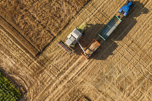 The grain harvest in Ukraine in 2022 will be 20% lower than in 2021