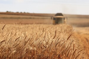 Latvia will help Ukraine sell grain through its ports – Ministry of Agrarian Policy