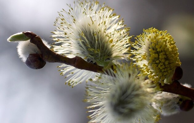 Weather forecasters told what the weather will be like in Ukraine in April