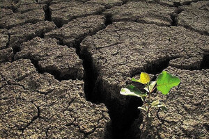 Global land degradation – a threat to human existence – UN report