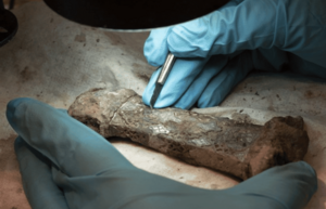 Archaeologists have “assembled in pieces” a rare Viking sword