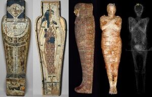 Scientists have found a rare type of cancer in an Egyptian “pregnant mummy”