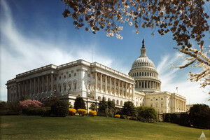 In Washington, a man crashed his car into the Capitol fence, opened fire in the air, and then committed suicide